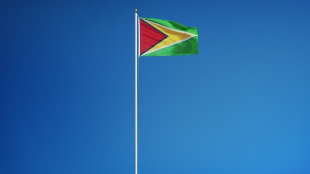 圭亚那国旗在慢动作中的无缝环与阿尔法 — 图库视频影像