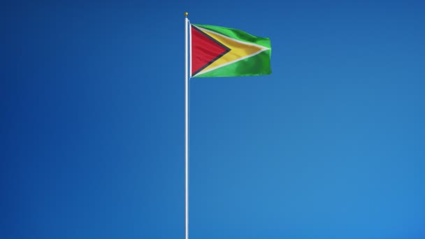 Drapeau Guyane au ralenti en boucle transparente avec alpha — Video