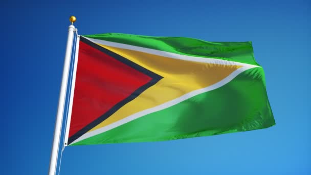 Guyana flag in slow motion seamlessly looped with alpha — Stock Video