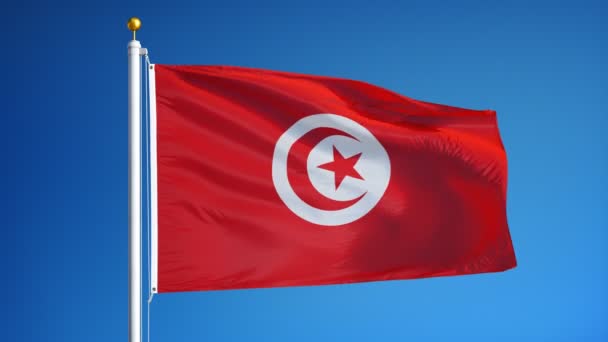 Σημαία της Τυνησίας σε αργή κίνηση looped απρόσκοπτα με άλφα — Αρχείο Βίντεο