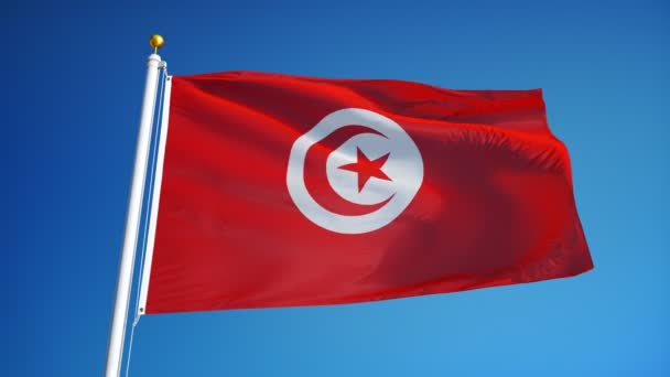 突尼斯国旗在慢动作中的无缝环与阿尔法 — 图库视频影像