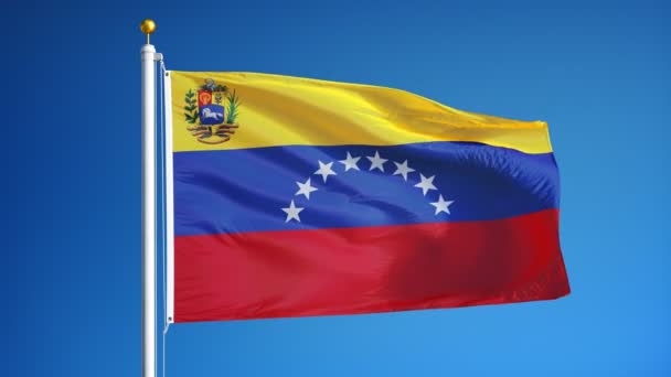 委内瑞拉国旗在慢动作中的无缝环与阿尔法 — 图库视频影像