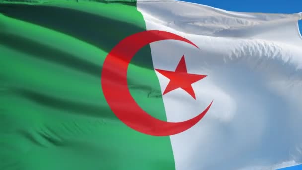 Прапор Алжиру в повільному плавно петельні з альфа — стокове відео