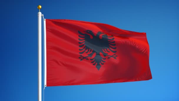 Albania-flagget i sakte film, sømløst bundet med alfa – stockvideo