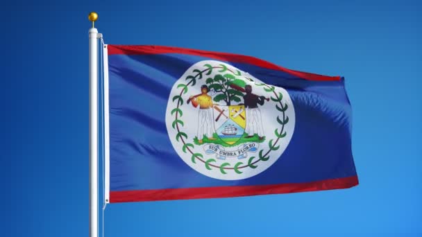 Flaga Belize w zwolnionym tempie bezproblemowo zapętlony z alfa — Wideo stockowe