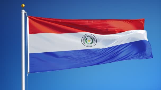 Drapeau du Paraguay au ralenti en boucle transparente avec alpha — Video