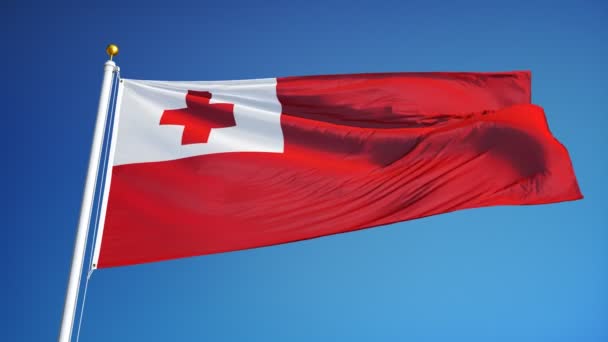 Tonga flag i slowmotion problemfrit looped med alfa – Stock-video