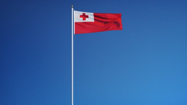 Bandeira Tonga em câmera lenta perfeitamente looped com alfa — Vídeo de Stock