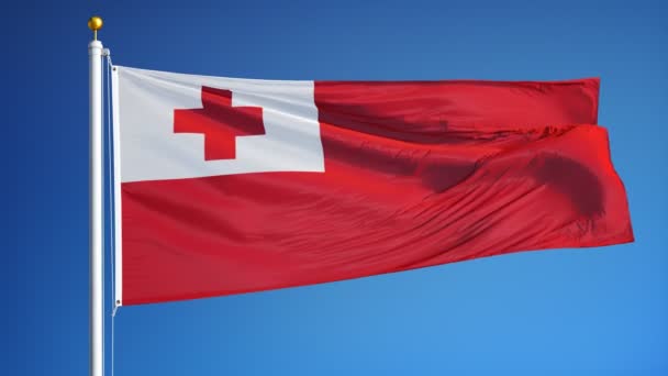 Tonga bayrak yavaş sorunsuz Alfa ile ilmekledi — Stok video