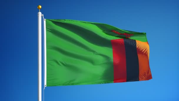 Флаг Замбии в замедленной съемке зациклен на альфе — стоковое видео