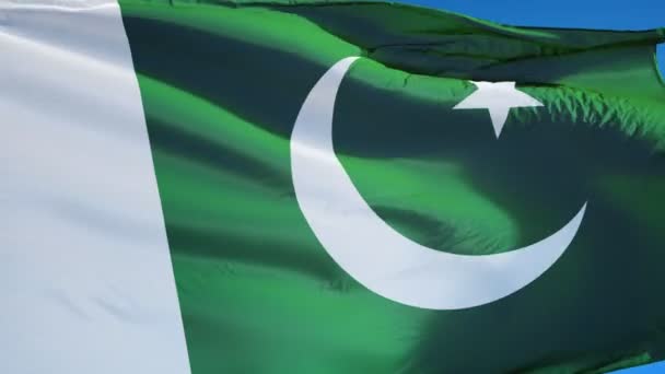 Σημαία του Πακιστάν σε αργή κίνηση looped απρόσκοπτα με άλφα — Αρχείο Βίντεο