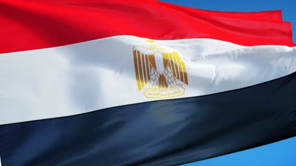 Drapeau de l'Egypte au ralenti en boucle transparente avec alpha — Video