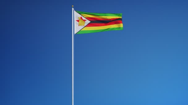 Flaga Zimbabwe w zwolnionym tempie bezproblemowo zapętlone z alfa — Wideo stockowe