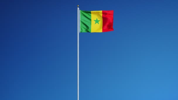 Bandiera senegalese al rallentatore perfettamente in loop con alpha — Video Stock