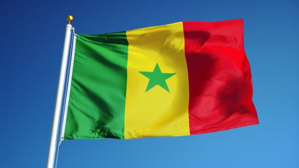 Senegalská vlajka v pomalém pohybu plynule tvořili s alfa — Stock video