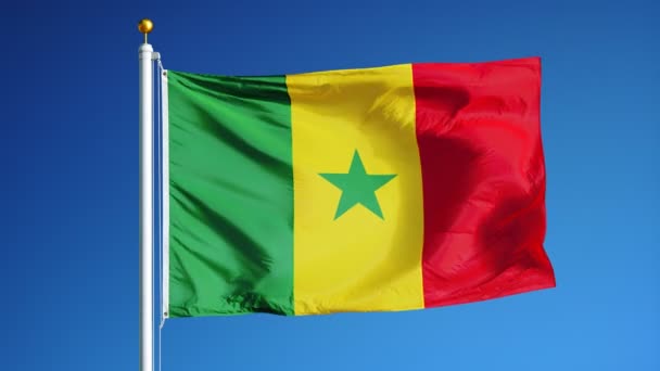 Σημαία της Σενεγάλης σε αργή κίνηση looped απρόσκοπτα με άλφα — Αρχείο Βίντεο