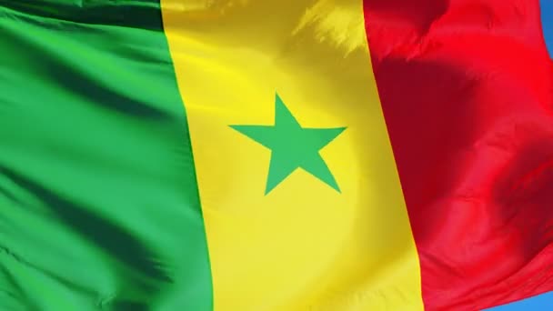 Bandera de Senegal en cámara lenta perfectamente en bucle con alfa — Vídeo de stock