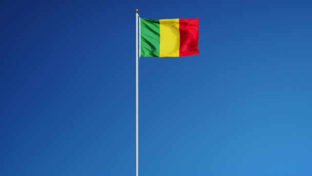 Mali  flag in slow motion seamlessly looped with alpha — Stock Video