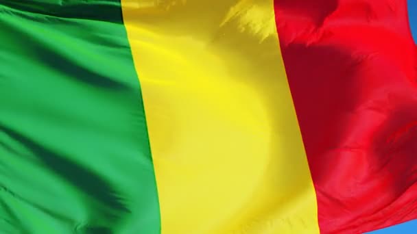 Mali  flag in slow motion seamlessly looped with alpha — Stock Video