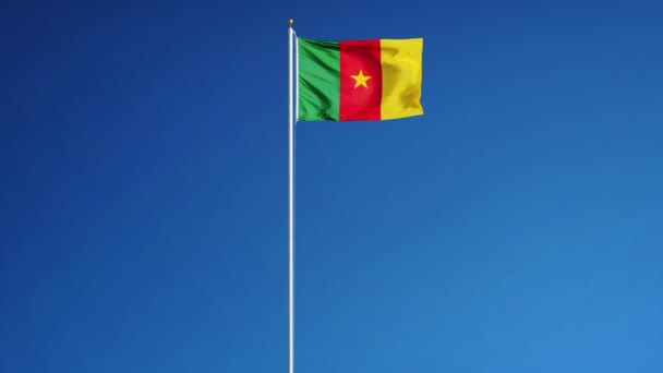 Vlag van Kameroen in slowmotion naadloos lus met alpha — Stockvideo