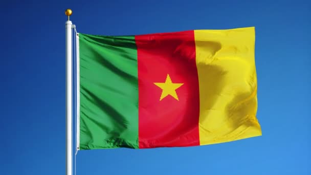 Cameroon  flag in slow motion seamlessly looped with alpha — Stock Video