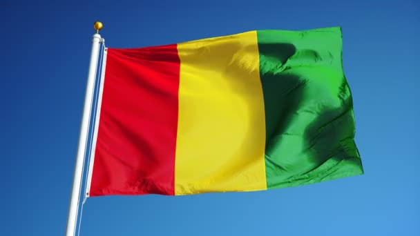 Bandera de Guinea en cámara lenta perfectamente en bucle con alfa — Vídeos de Stock