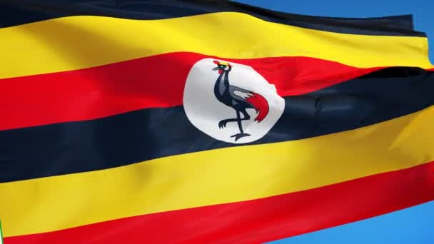 Bandera de Uganda en cámara lenta en bucle continuo con alfa — Vídeo de stock