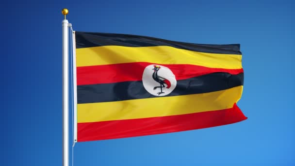 Bandera de Uganda en cámara lenta en bucle continuo con alfa — Vídeos de Stock