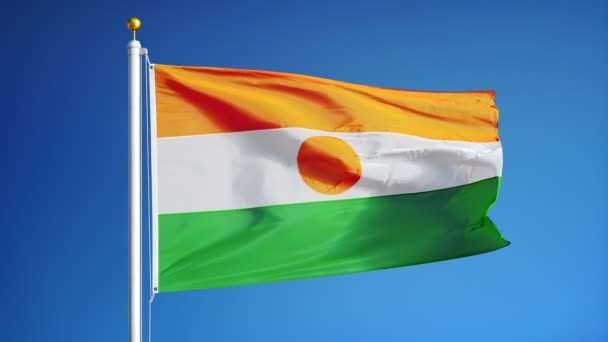 Bandera de Níger en cámara lenta en bucle continuo con alfa — Vídeos de Stock