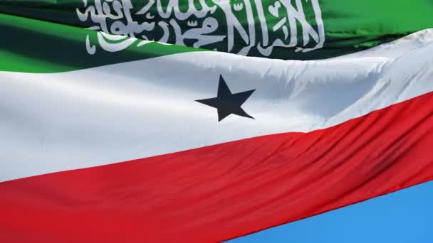 Bandera Somaliland en cámara lenta en bucle sin problemas con alfa — Vídeo de stock