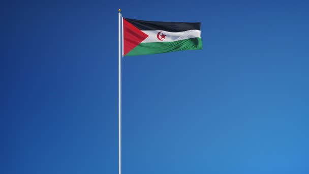 Bandera saharaui de la República Árabe Democrática en cámara lenta perfectamente enloquecida con alph — Vídeos de Stock