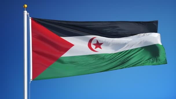 Drapeau de la République arabe sahraouie démocratique au ralenti en boucle transparente avec alph — Video