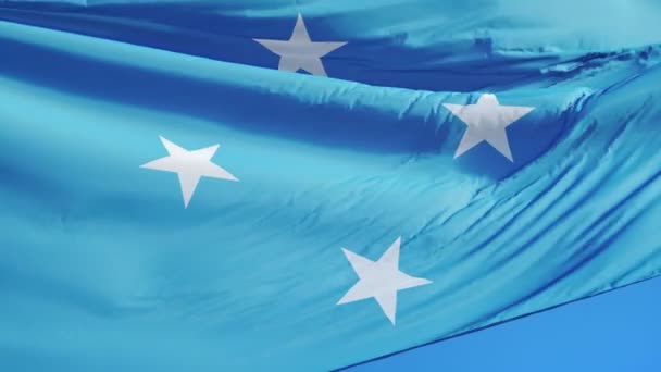 Yavaş çekimde Mikronezya bayrağıfeslenmiş devletler sorunsuz alfa ile döngülü — Stok video