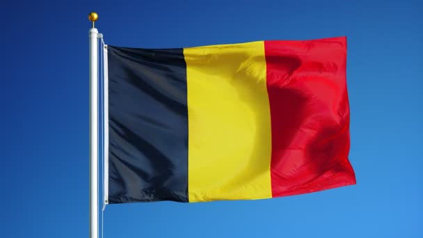 Belgium  flag in slow motion seamlessly looped with alpha — Stock Video