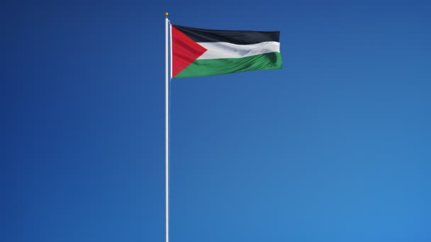 Palestinská vlajka v pomalém pohybu hladce smyla alfa — Stock video