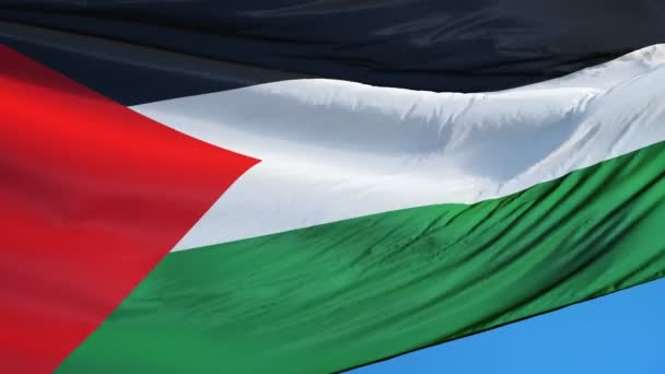 Palästinensische Flagge in Zeitlupe, nahtlos mit Alpha verbunden — Stockvideo