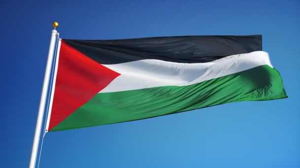 Bandera de Palestina en cámara lenta perfectamente en bucle con alfa — Vídeo de stock