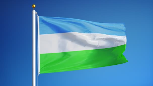 Molossia-Flagge in Zeitlupe, nahtlos mit Alpha verbunden — Stockvideo