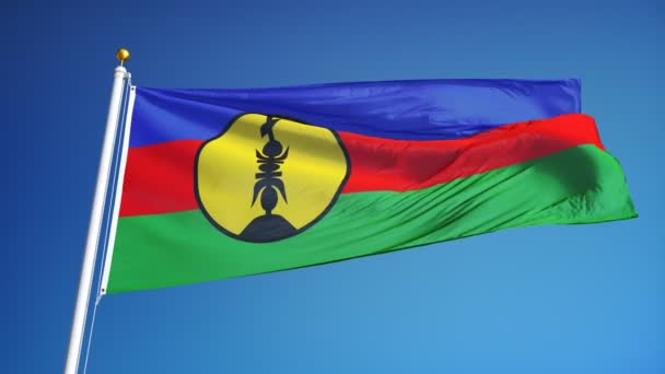 Yavaş çekimde yeni Kaledonya bayrağı alfa ile sorunsuz bir şekilde döngüye — Stok video