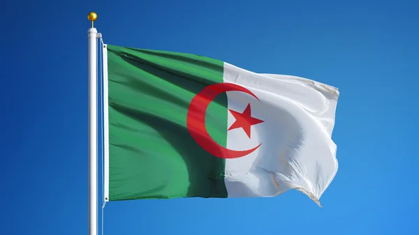 Bandera Argelia, aislada con ruta de recorte transparencia canal alfa —  Fotos de Stock