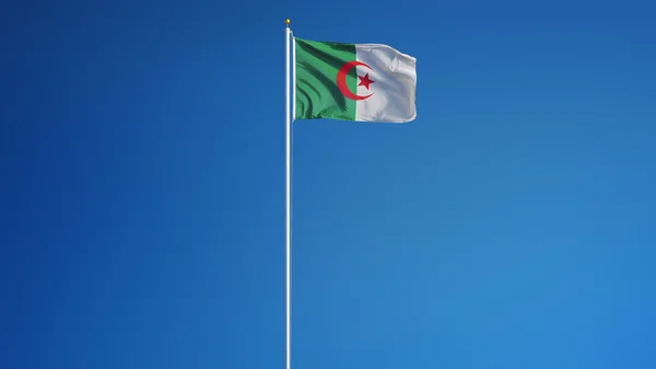 Algerian lippu, eristetty leikkausreitillä alfa kanava avoimuus — kuvapankkivalokuva