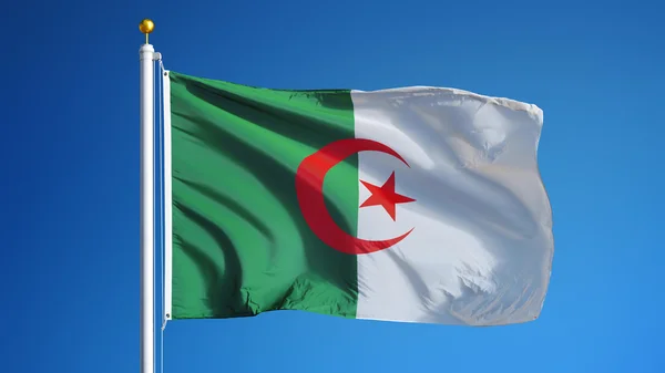 Bandera Argelia, aislada con ruta de recorte transparencia canal alfa —  Fotos de Stock