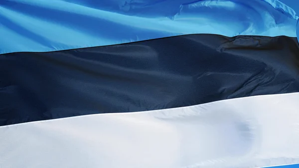 Bandera de Estonia, aislada con transparencia del canal alfa de la ruta de recorte —  Fotos de Stock