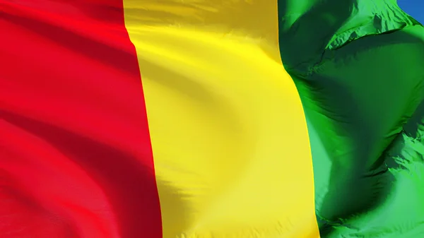 Bandera de Guinea, aislada con transparencia del canal alfa de la ruta de recorte — Foto de Stock