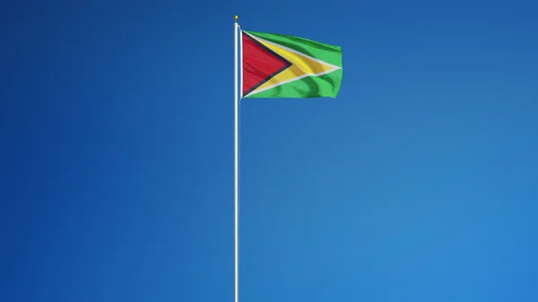 Guyana flag, isolated with clipping path alpha channel transparency — Stock Photo, Image