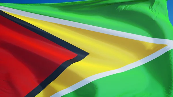 Guyana vlag, geïsoleerd met uitknippad alfakanaal transparantie — Stockfoto