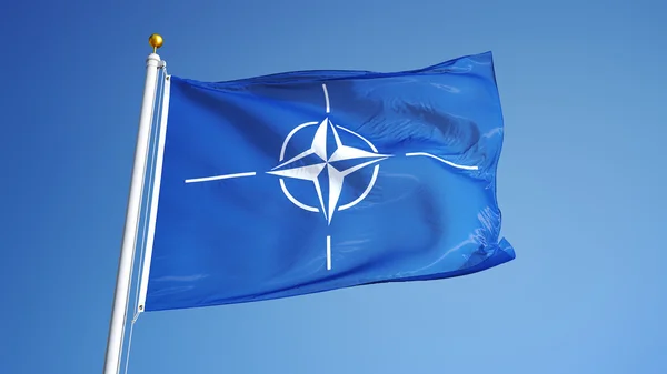 Прапор НАТО, ізольовані з відсікання шлях альфа-каналом прозорості — стокове фото