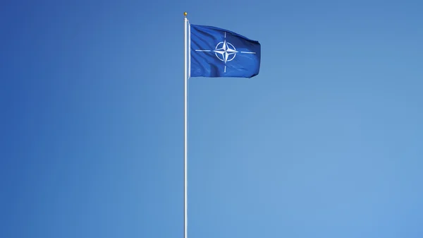 Vlag van de NAVO, geïsoleerd met knippen pad alfakanaal transparantie — Stockfoto