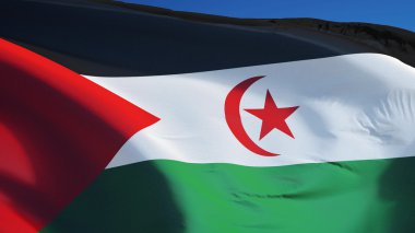 Yol alfa kanalı saydamlık kırpma ile izole Sahra Arap Demokratik Cumhuriyeti bayrağı