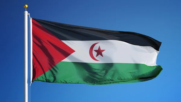 Bandera de la República Árabe Saharaui Democrática, aislada con transparencia del canal alfa de la ruta de recorte —  Fotos de Stock